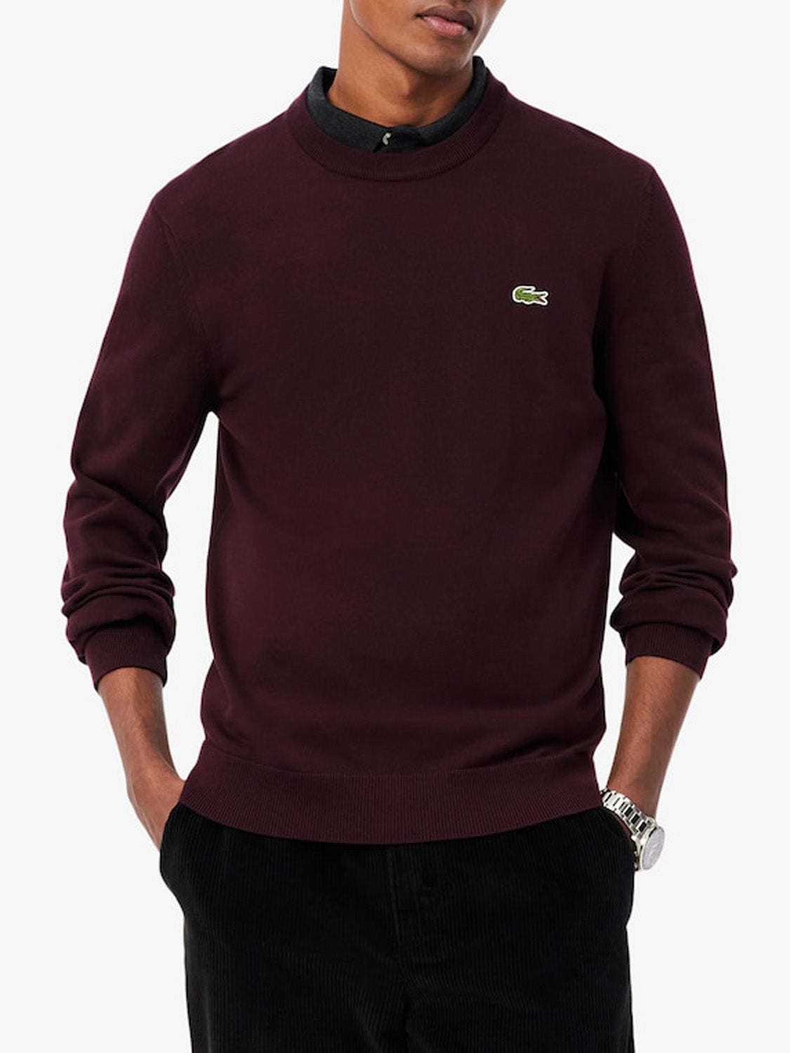 Lacoste Maglione Uomo Marrone scuro