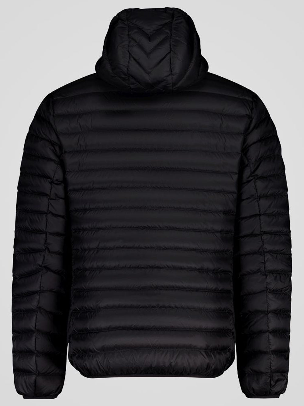 Ciesse Piumini Giubbino Uomo Hoody Jkt