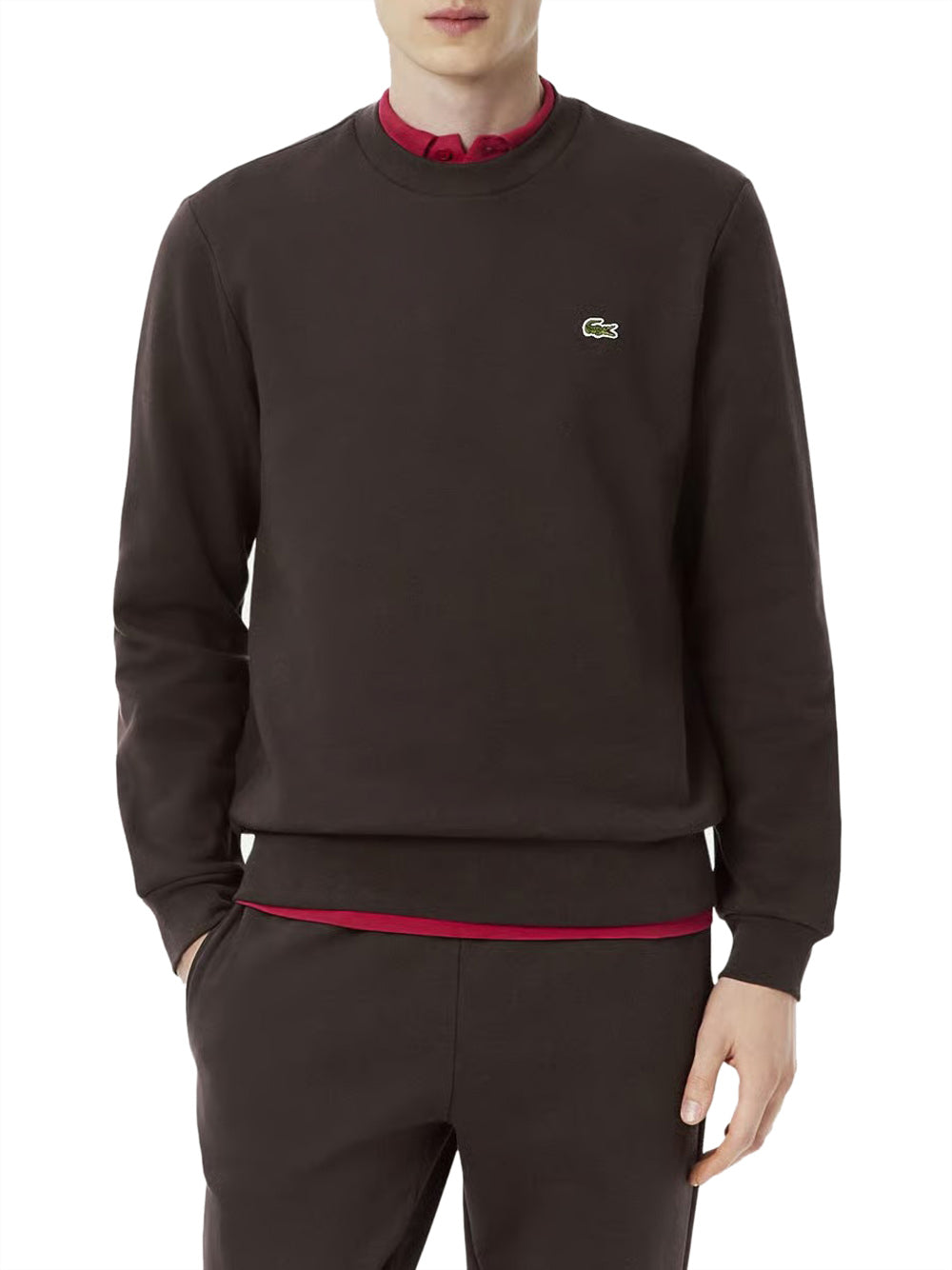 Lacoste Felpa Girocollo Felpe Uomo A Euro Lacoste Felpa Lapland/avorio