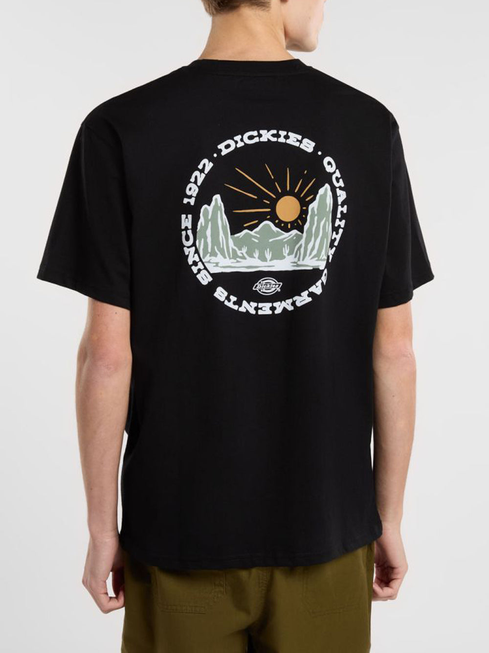 Dickies