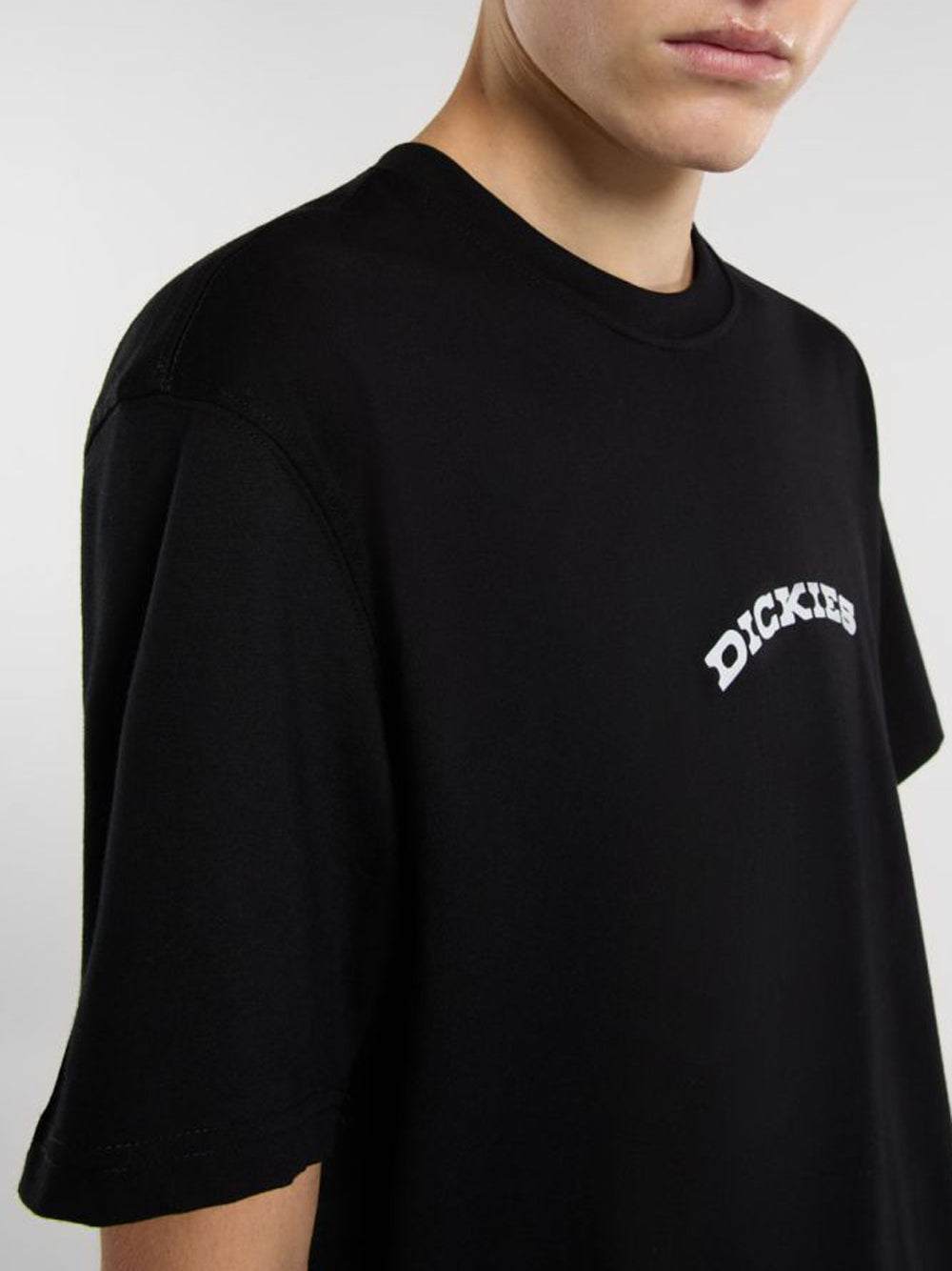 Dickies