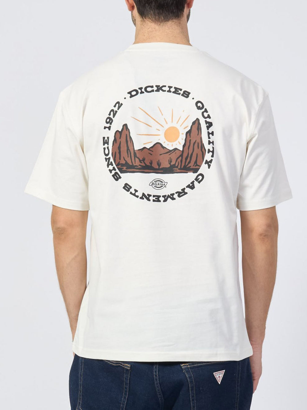 Dickies