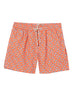 MC2 Saint Barth Shorts Mare Uomo Verde