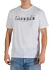 Calvin Klein T-shirt Uomo Marrone