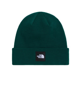The North Face Cappello Unisex Dock Verde