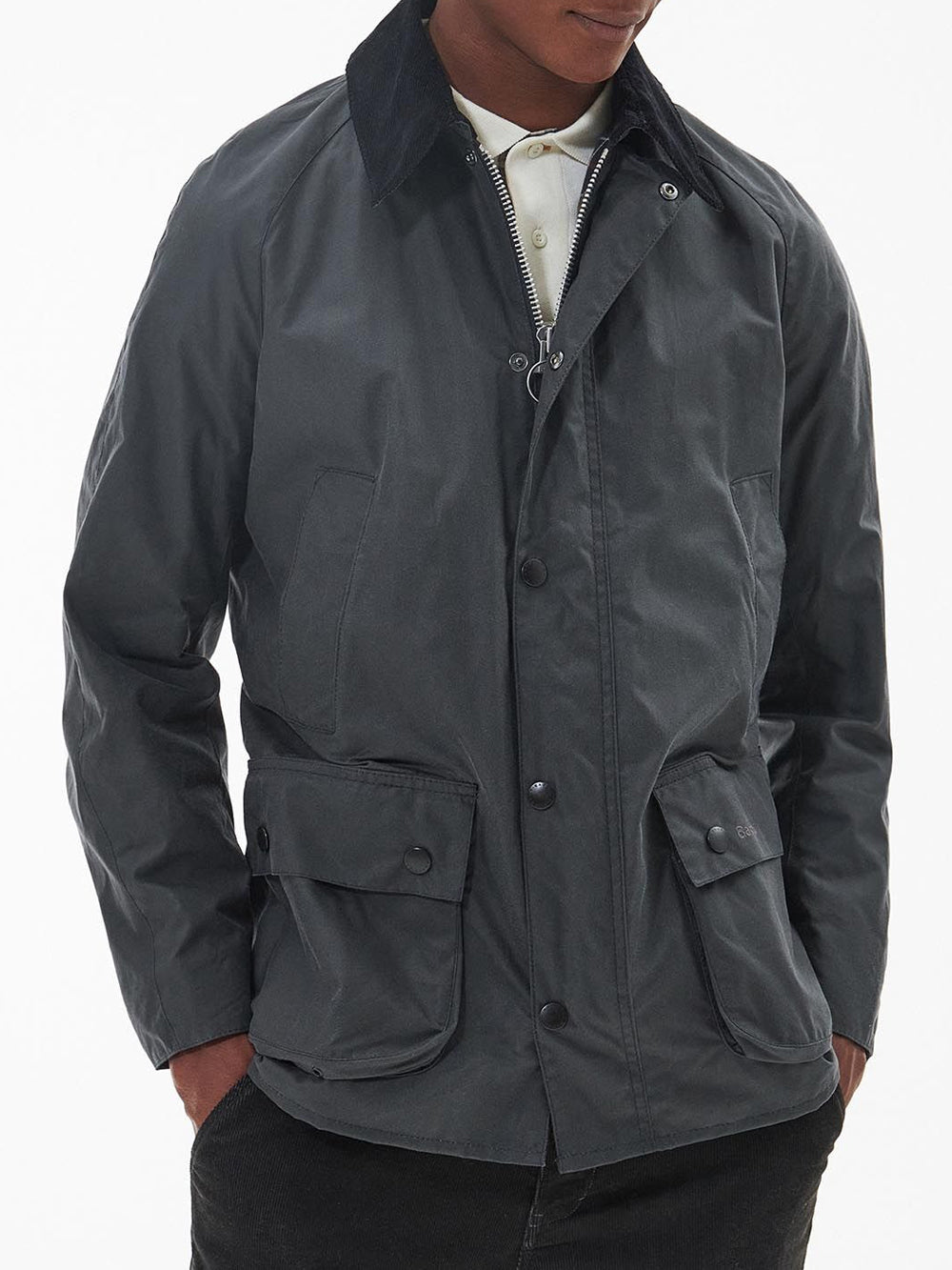 Barbour