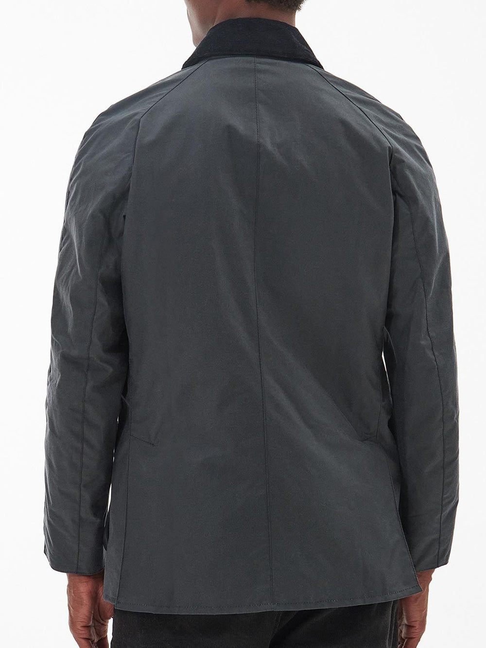 Barbour