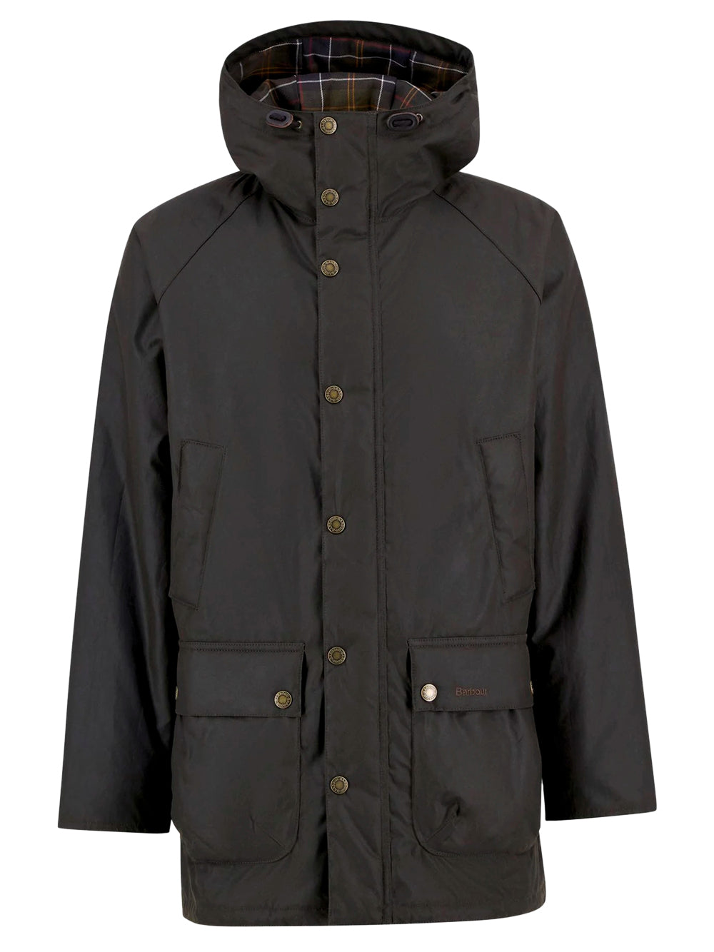 Parka Olive