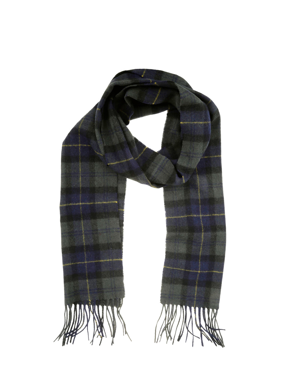 Barbour