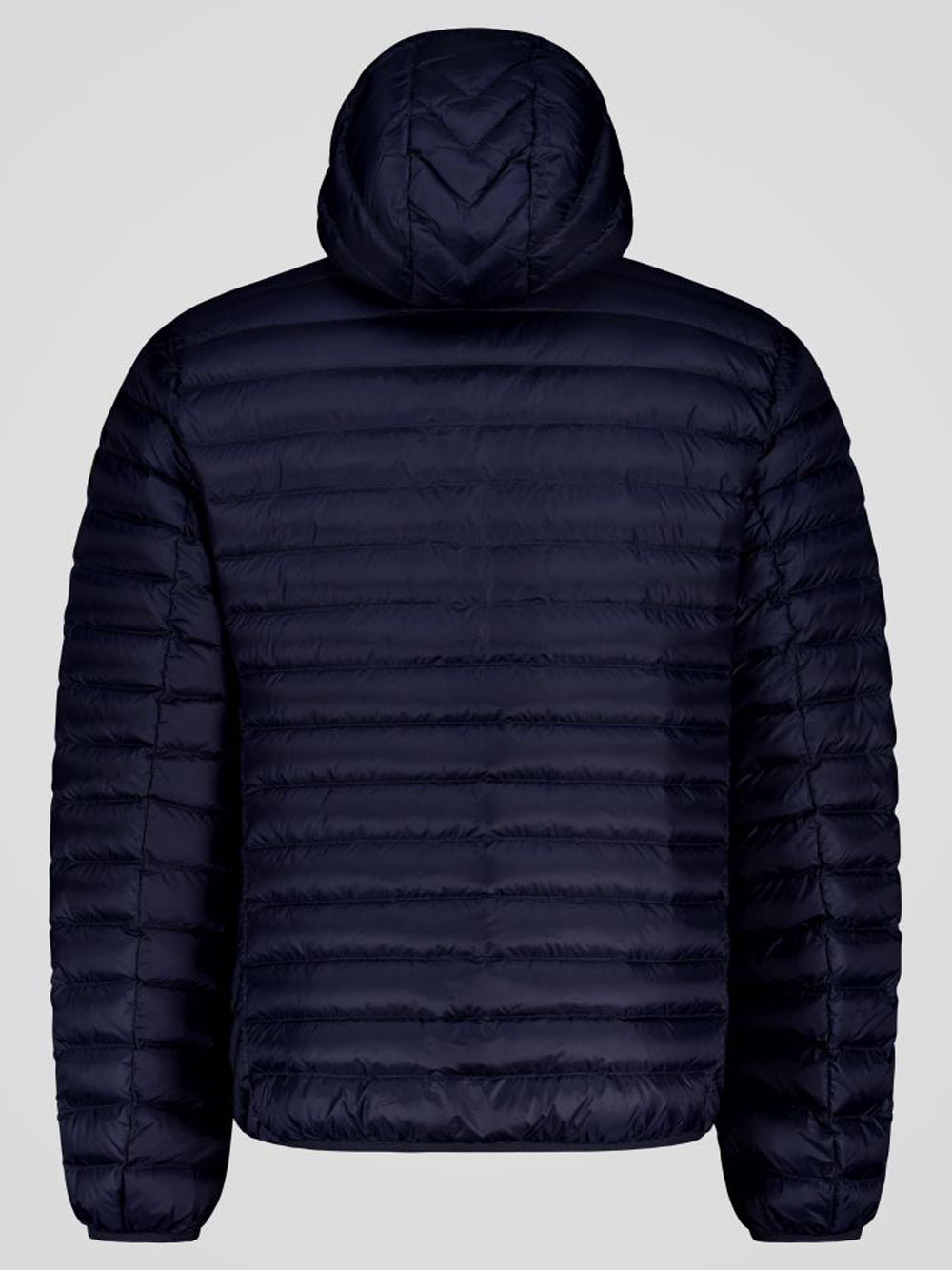 Ciesse Piumini Giubbino Uomo Hoody Jkt