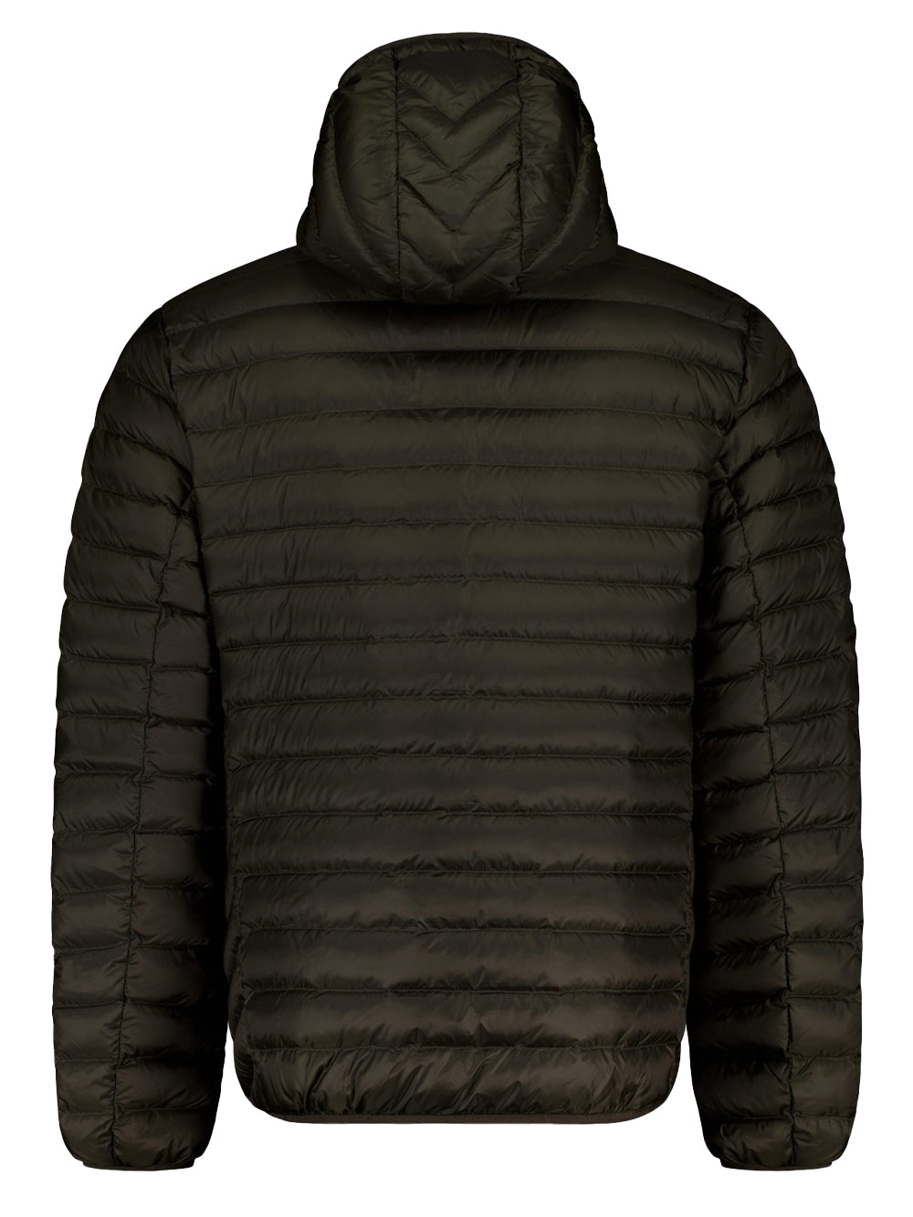 Ciesse Piumini Giubbino Uomo FRANKLIN 3.0 Verde militare