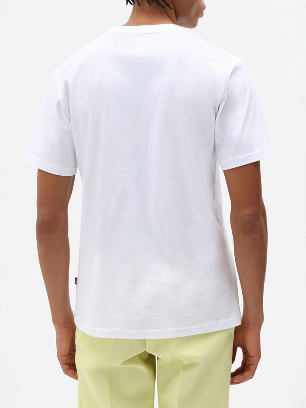 Dickies T-shirt Uomo Mapleton Bianco