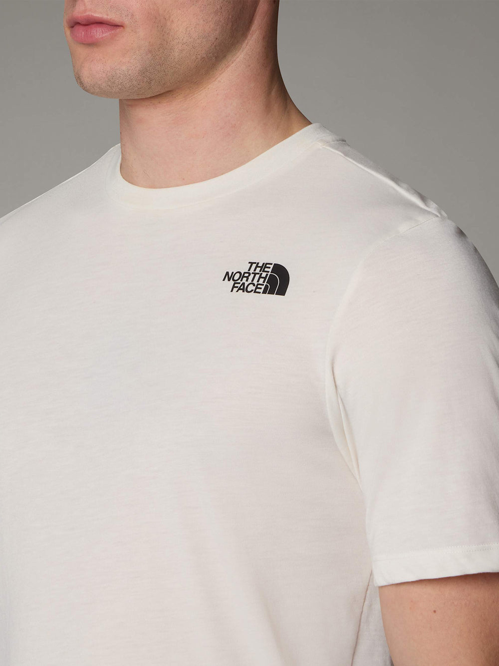 The North Face T-shirt Uomo Foundation Mountains Beige