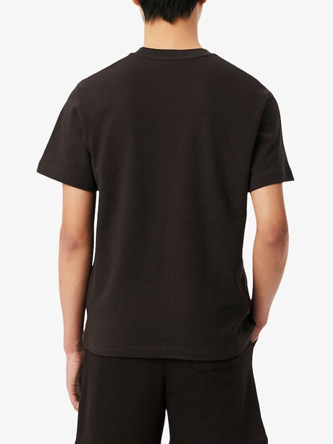 T-shirt Uomo Marrone