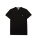 Lacoste T-shirt Uomo Bianco